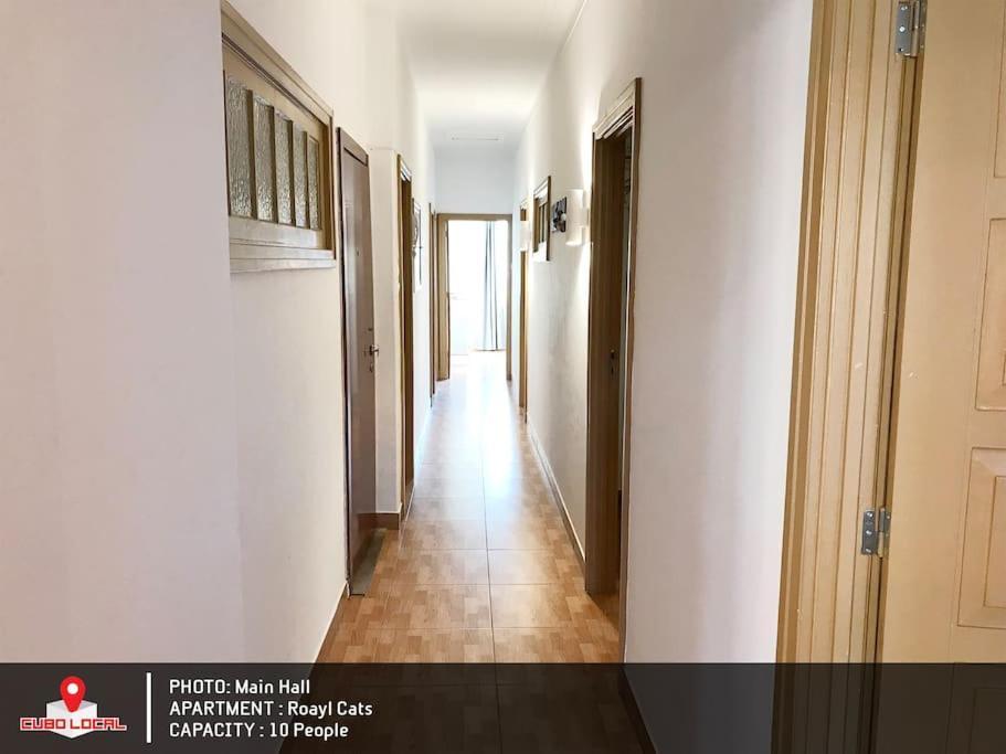 Royal Cats Apartment Porto Exterior photo